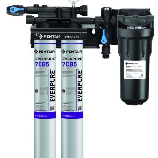 Everpure Kleensteam II EV9797-22 Twin Filter System