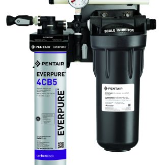 Everpure Kleensteam EV9797-50 Counter Top System