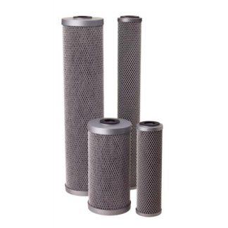 Pentek 455906-43 FloPlus-20BB Modified Molded Block Filter