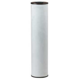 Pentek 155263-43 RFFE20-BB Radial-Flow Iron Reduction Filter