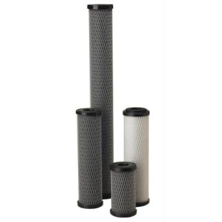 Pentek 155597-43 C1-20 Powdered-Activated Carbon Cartridge