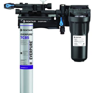 Everpure Kleensteam II EV9797-21 Single Steam System