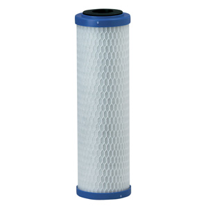 Everpure Costguard CG5-10S EV9108-17 Replacement Filter