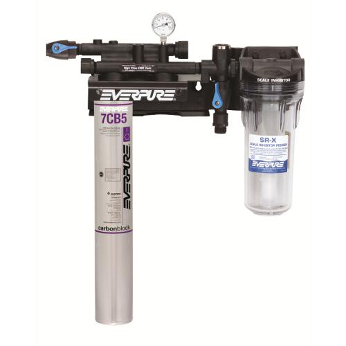 Everpure Kleensteam II EV9797-21 Single Steam System
