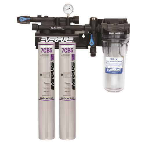 Everpure Kleensteam II EV9797-22 Twin Filter System