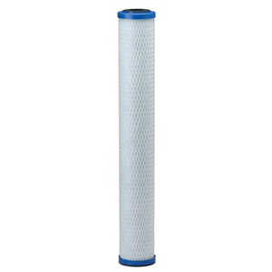 Everpure Costguard CG5-20 EV9108-25 Filter Cartridge