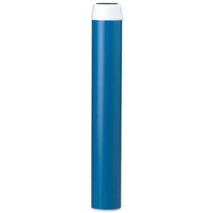 Everpure CGT-20 EV9108-32 Costguard Filter Cartridge